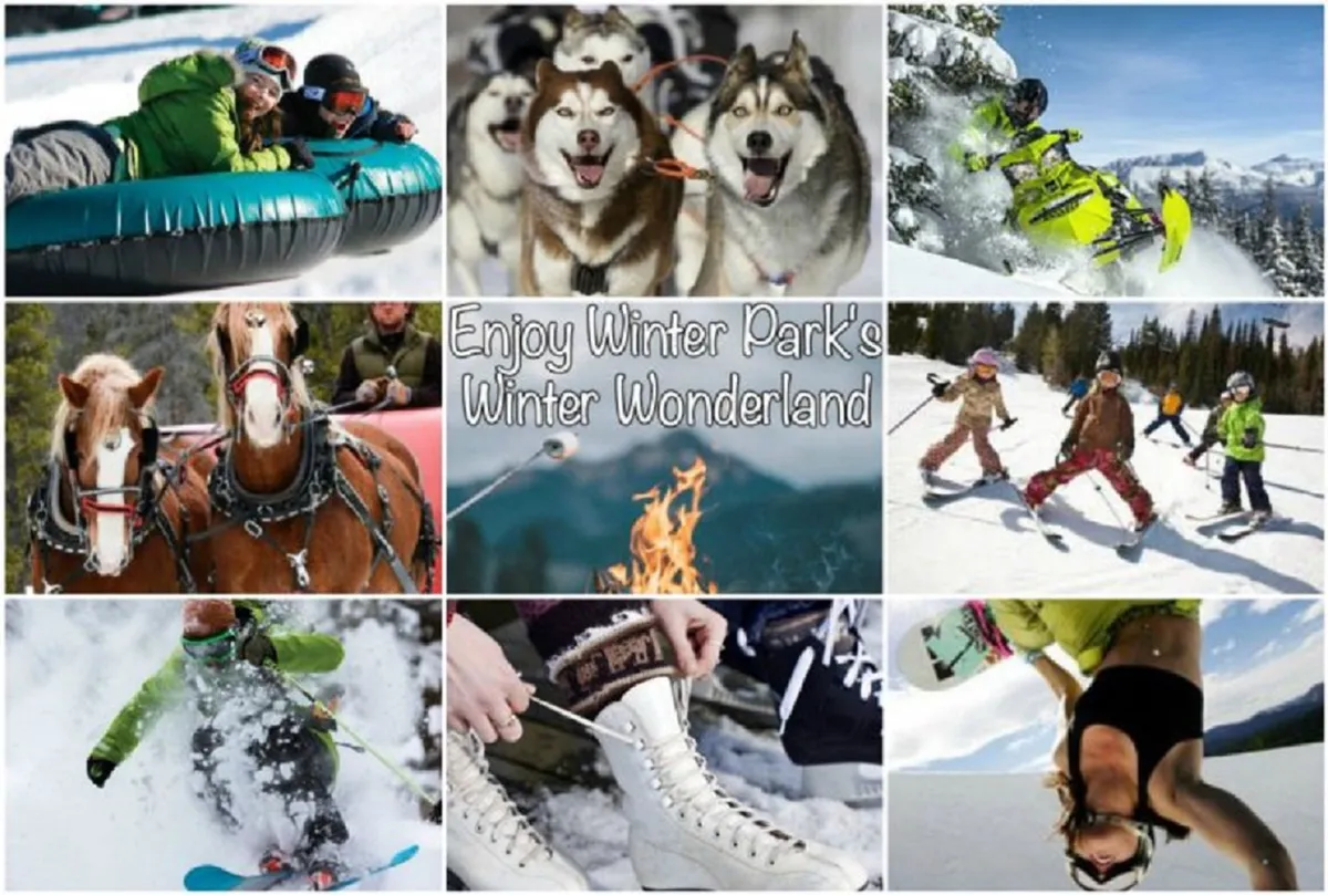 An action-packed winter scene showing snow tubing, dog sledding with huskies, snowmobiling, horse-drawn sleigh rides, skiers, snowboarders, and cozy campfire gatherings—all in a snowy outdoor setting full of energy and excitement.