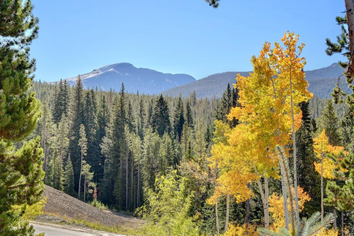 A scenic landscape shows vibrant orange aspen trees against the backdrop of a majestic mountain and dense evergreen forest, highlighting the vivid colors and dynamic beauty of the fall season.